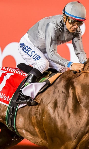 Breeders' Cup Classic cheat sheet